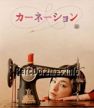 Carnation | カーネーション 2011