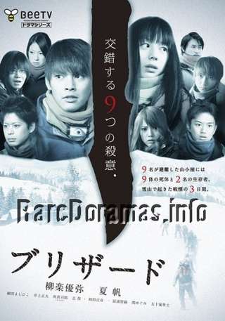 Blizzard | ブリザード 2011