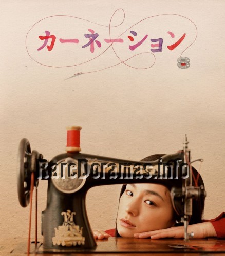 Carnation | カーネーション 2011